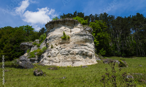 Jurafelsen Altmühltal-Panoramaweg