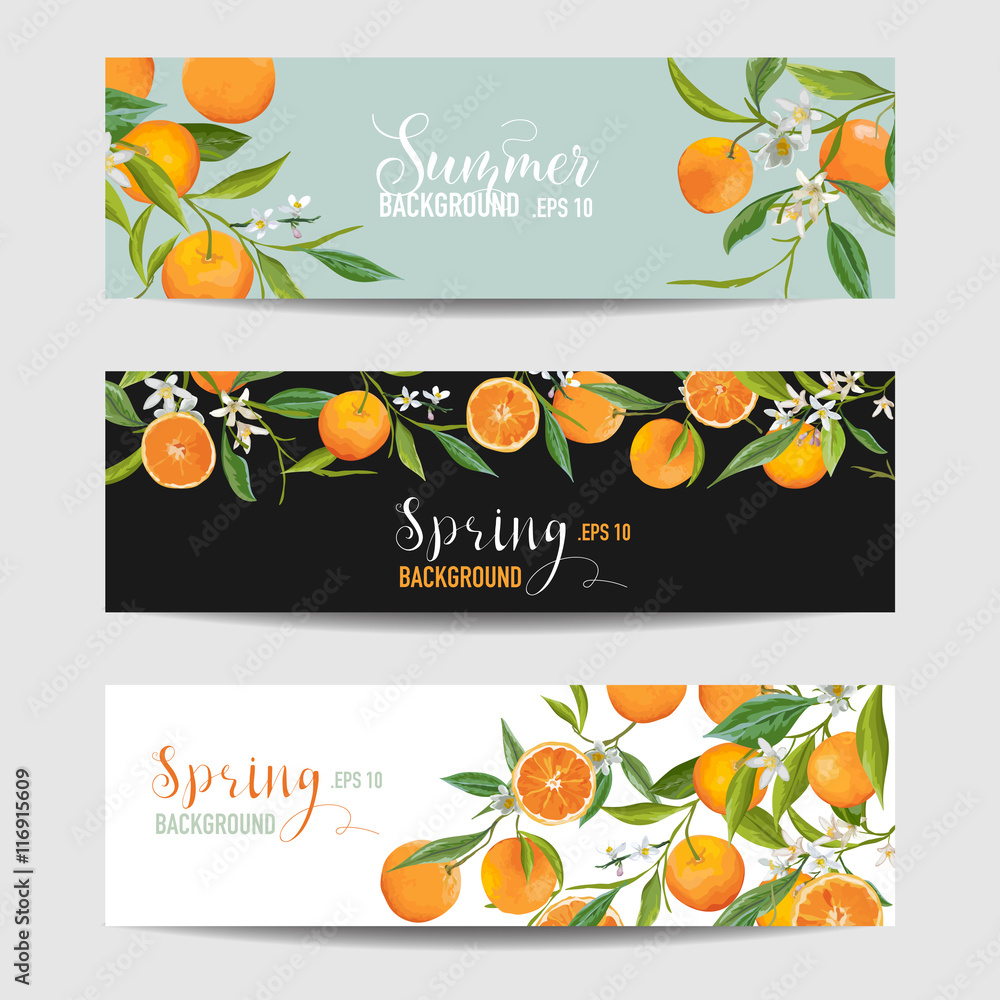 Orange Citrus Floral Banners and Tags Set - in vector