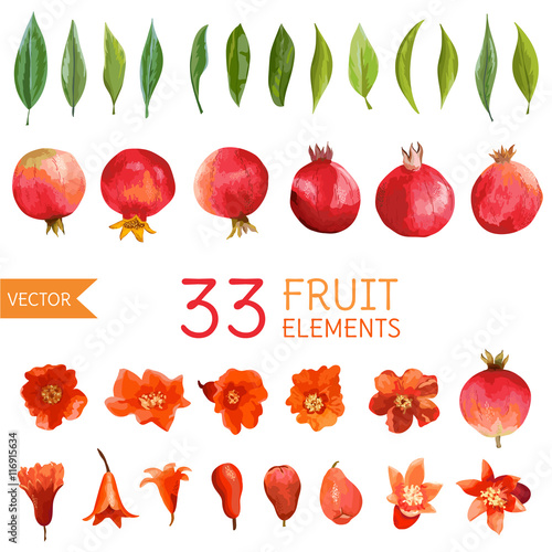 Vintage Pomegranates, Flowers and Leaves. Watercolor Style Fruits