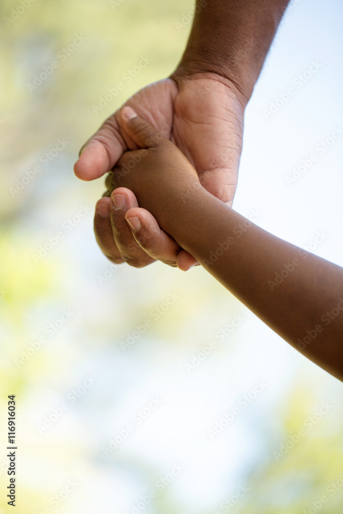 Rear view of father and son holding hands. Rear view of father and son holding hands.