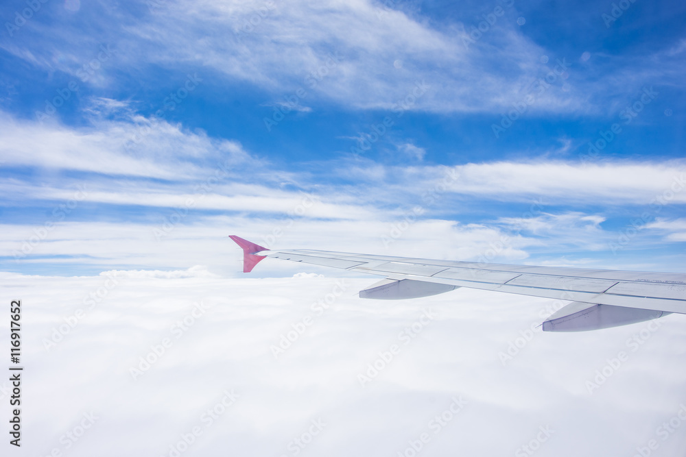 Fototapeta premium wing airplane