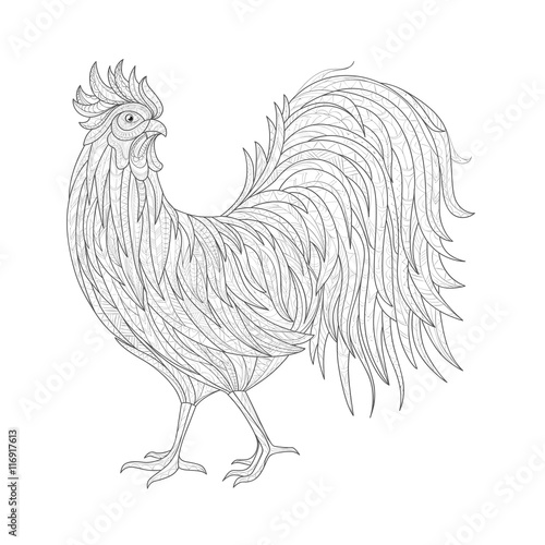 Hand drawn doodle outline rooster illustration. Decorative outline hand drawn in zentangle style. Sketch for adult antistress coloring page. symbol of the 2017 year