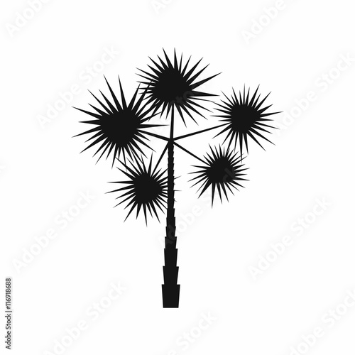 Spiny tropical palm tree icon in simple style isolated on white background. Flora symbol