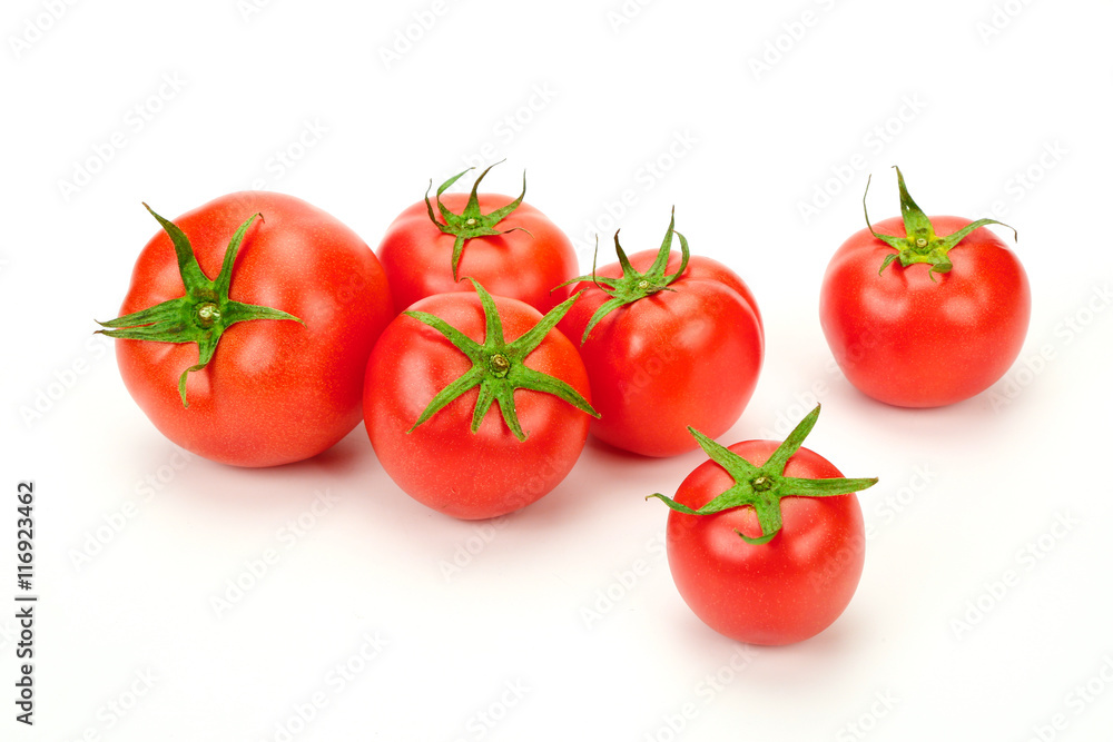tomatoes In white background tomatoes In white background