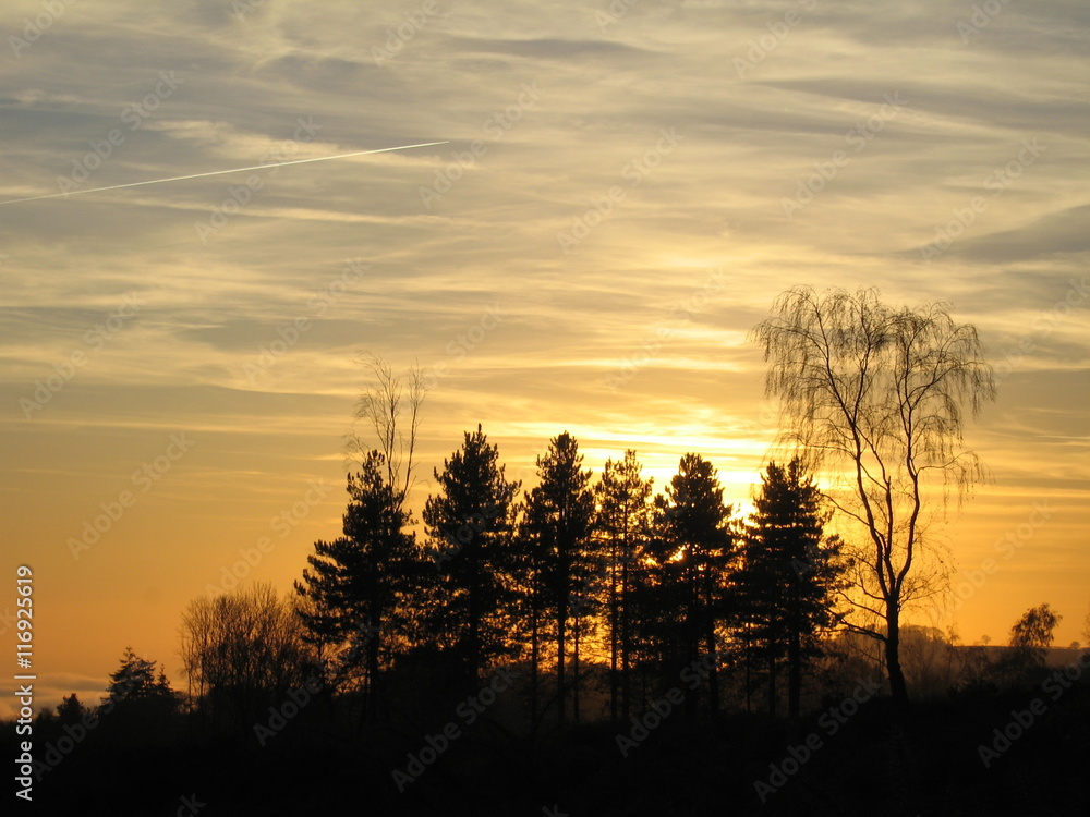 Trees silhouetted against a sunset sky near Offa's Dyke, Wales in late Autumn