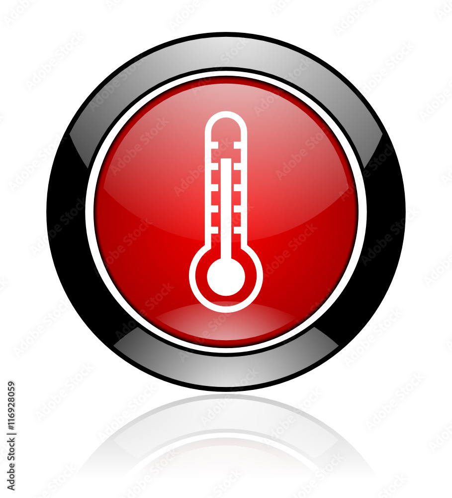 Glossy vector thermometer icon Glossy vector thermometer icon