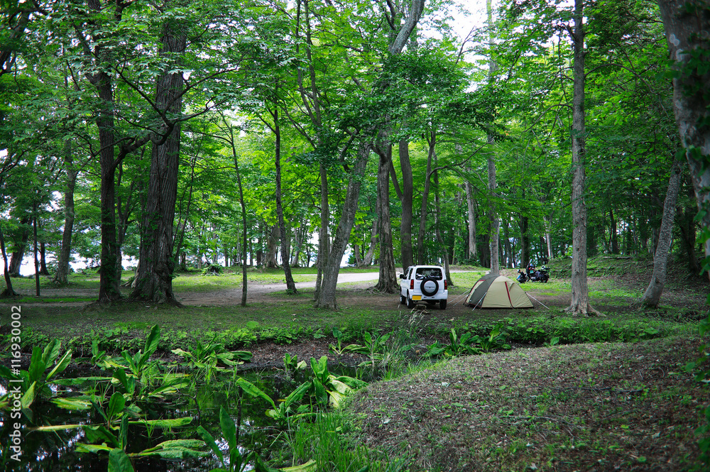 洞爺湖森の中のキャンプ場