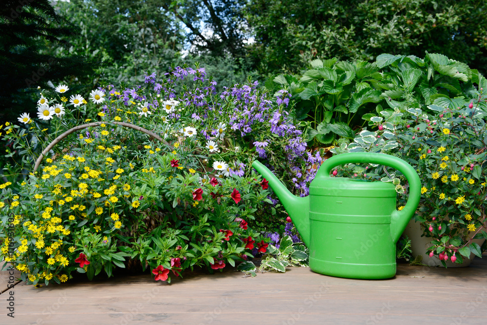 watering can and summer flowers on wooden terrace