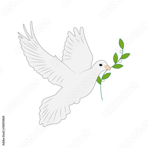 Weiße Friedenstaube - Symbol der Hoffnung