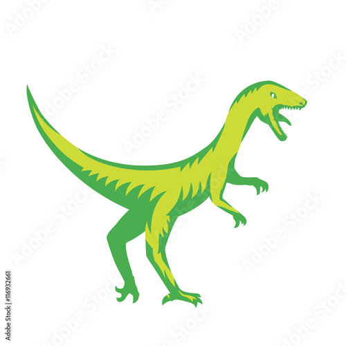 Velociraptor  predaceous dinosaur on white
