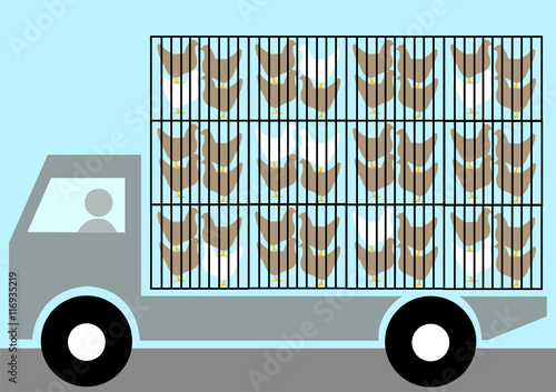 Illustration Tiertransport mit LKW; Geflügel; Hähnchen; Hühner; artgerecht; Nutztiere; Schlachtvieh;  Tierhaltung; Landwirtschaft