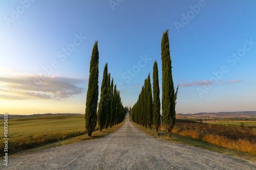 agriturismo poggio covili