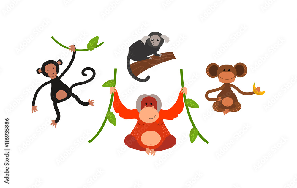 Cartoon monkey vector illustration. Monkey animal and jungle cartoon wild  life. Monkey cute types cute primate isolated. Monkey zoo jumping  chimpanzee mammal. Stock Vector | Adobe Stock