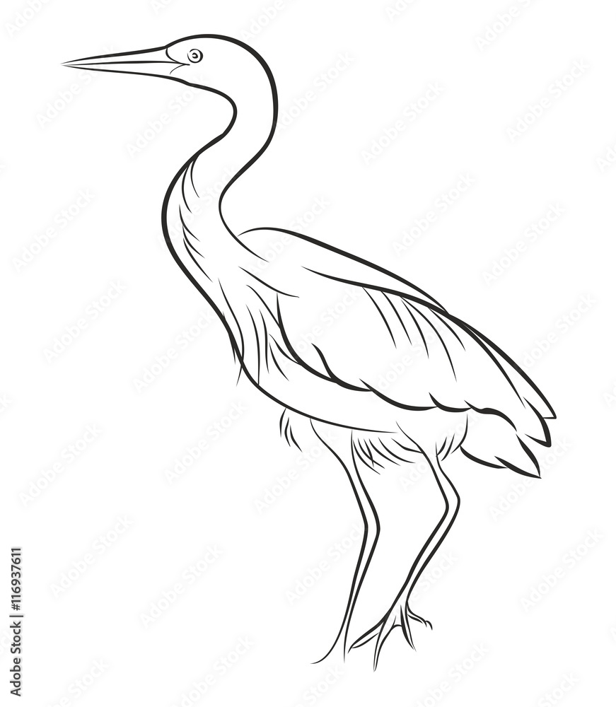 Obraz premium White heron