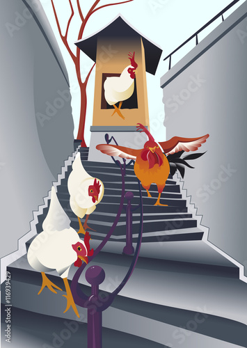 Poules dans un escalier