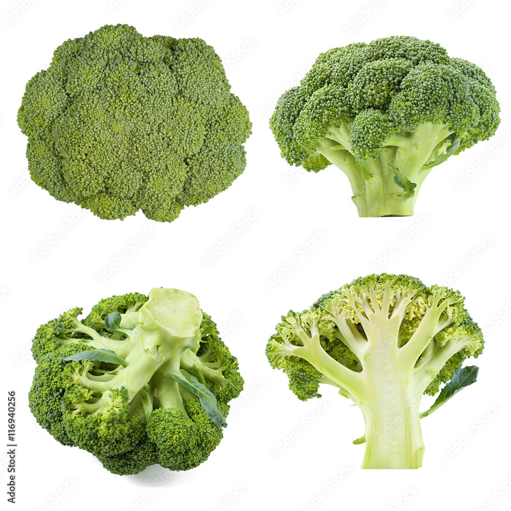 collection of broccoli isolated collection of broccoli isolated