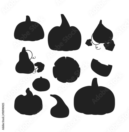 Autumn collection of pumpkin set elements design with different pumpkins orie...