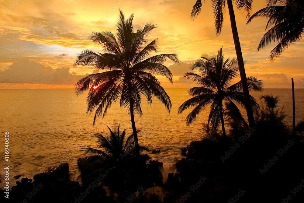 silhouette of coconut palm trees and sunset  on the beach 