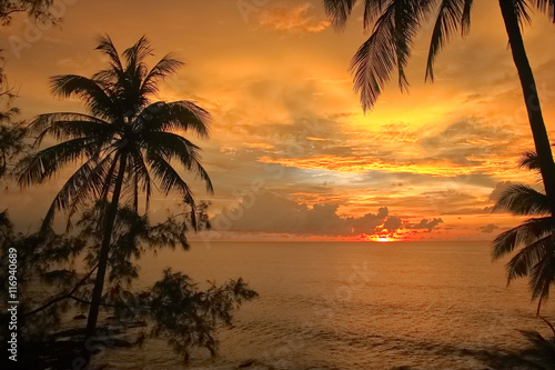 Fototapeta Naklejka Na Ścianę i Meble -  silhouette of coconut palm trees and sunset  on the beach 
