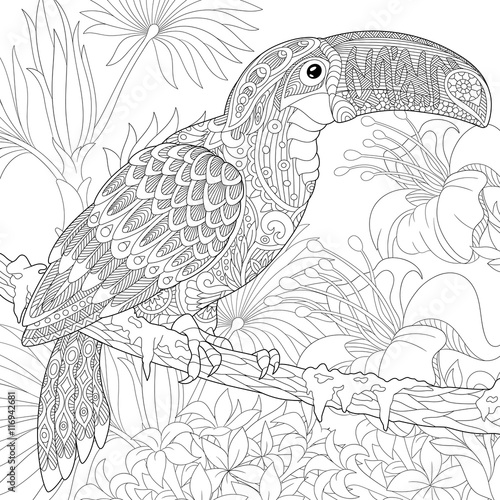 Stylized toucan bird sitting on palm tree branch among hibiscus flowers. Freehand sketch for adult anti stress coloring book page with doodle and zentangle elements.