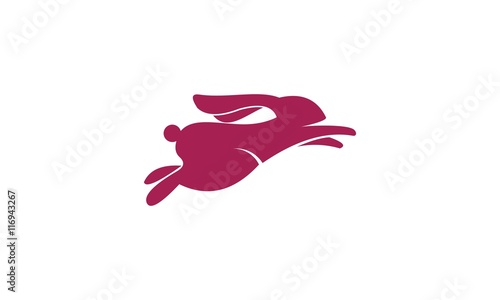 Rabbit jump logo