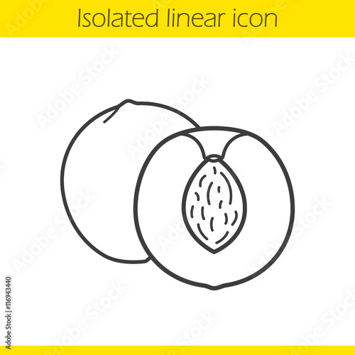 Peach linear icon