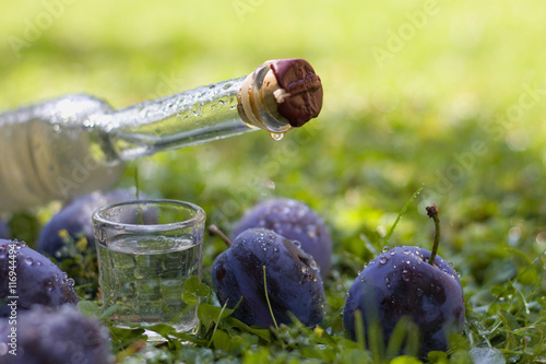 Foto Plum brandy or schnapps with fresh and ripe plums