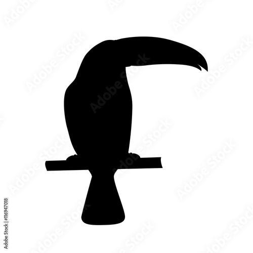 vector illustration of black toucan silhouette. Vector toucan