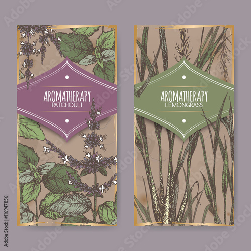 Two color labels with lemongrass and patchouli on vintage background.