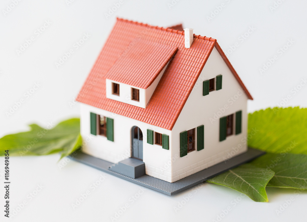 close up of house model and green leaves