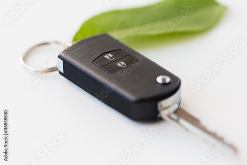 close up of car key and green leaf