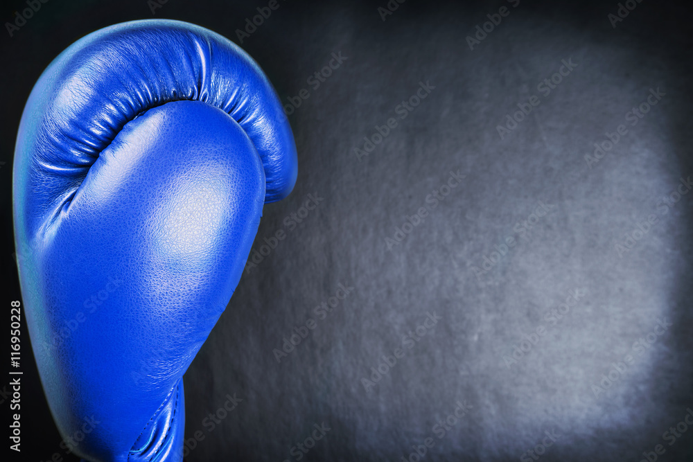 blue leather boxing gloves