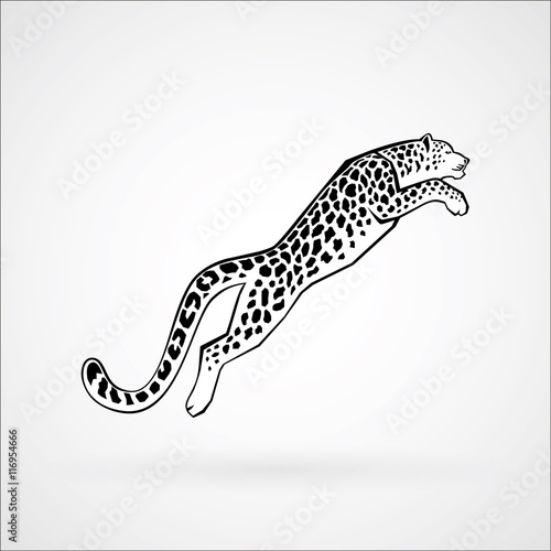 Snow Leopard line vector illustration logo, sign, emblem isolated