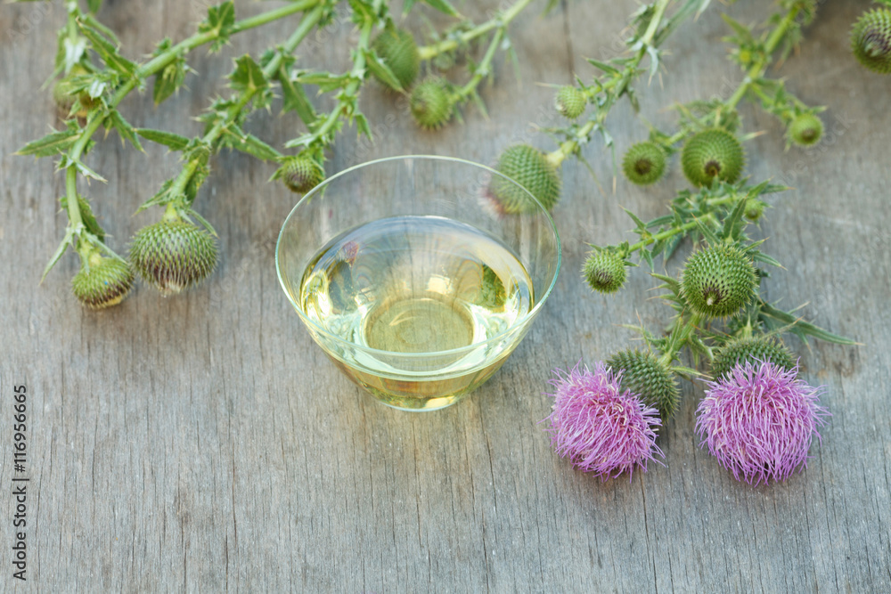 thistle oil container with thistle flowers thistle oil container with thistle flowers