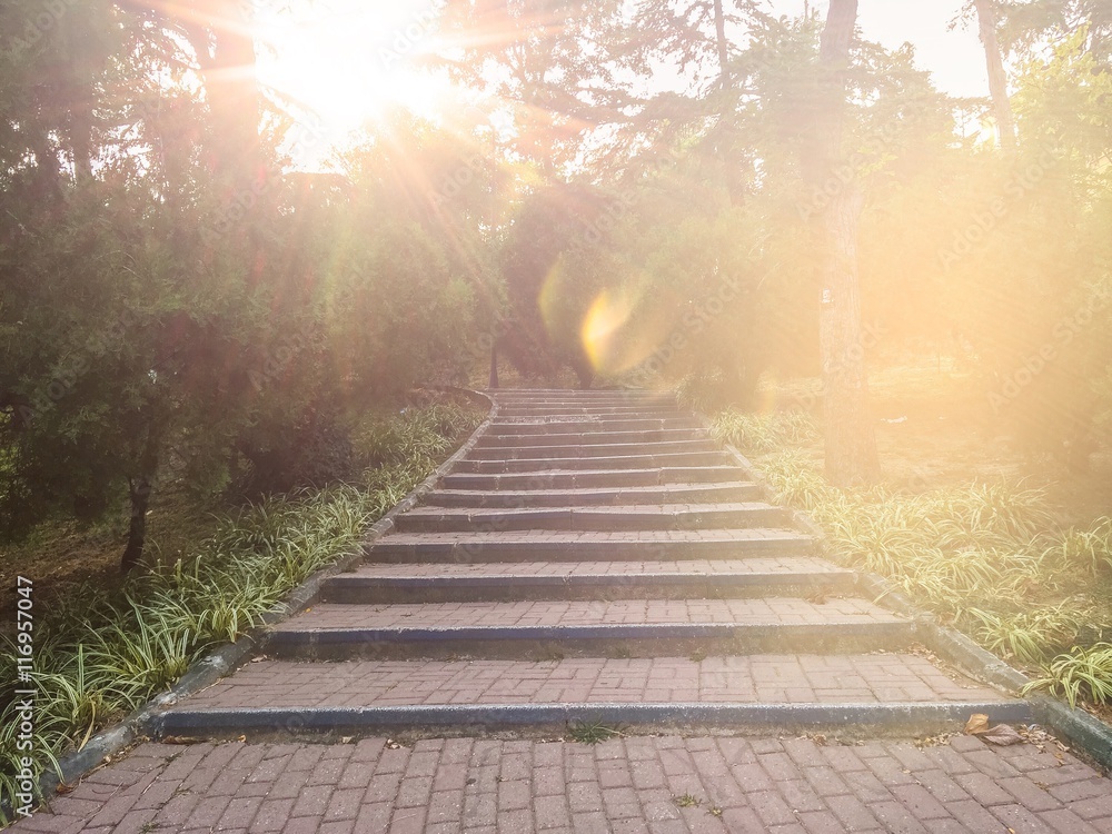 Fototapeta premium Merdiven