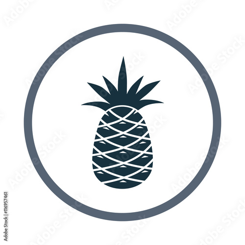 Pineapple simple icon on the background
