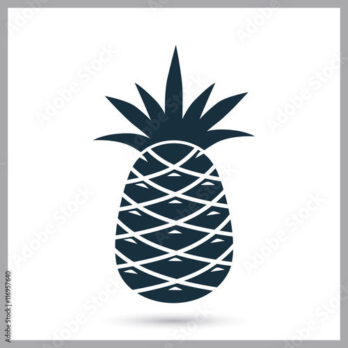 Pineapple simple icon on the background