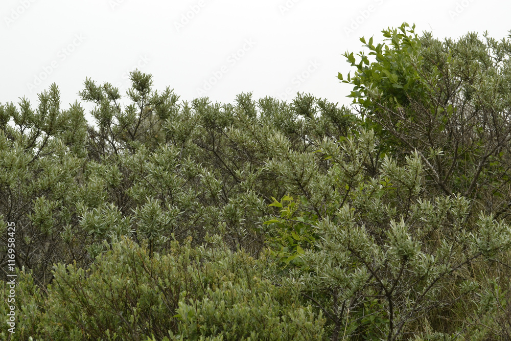 Fototapeta premium Landschaft