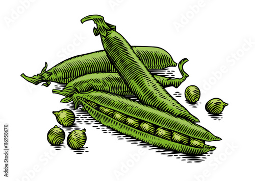 Handful of pea pods with peas