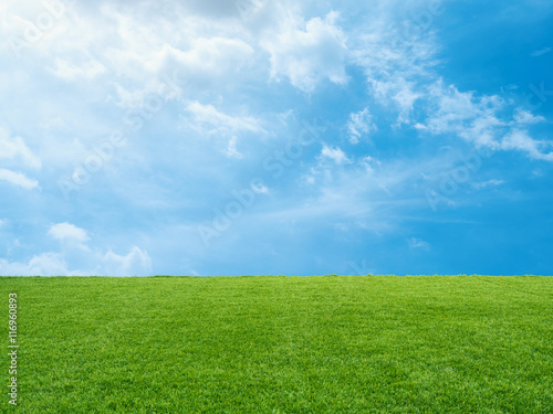green grass on blue sky background