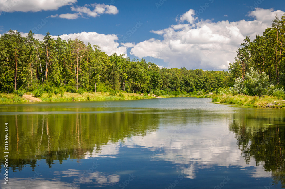 Lake & Forest