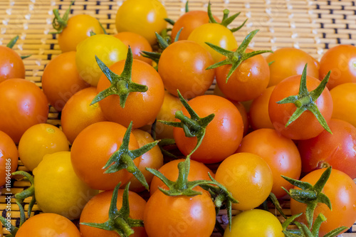 Big harvest in home garden