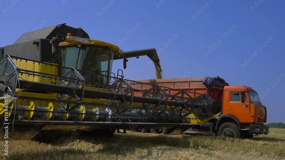 Combine-harvester unloads wheat grain into a truck. Slow Motion Combine-harvester unloads wheat grain into a truck. Slow Motion