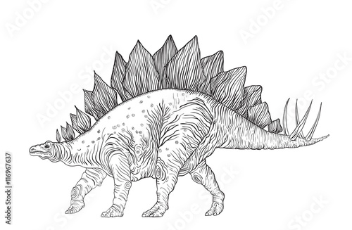 picture stegosaurus, drawn with ink