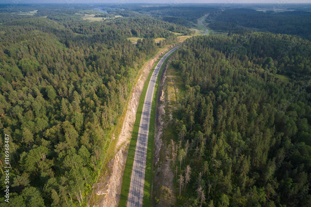aerial view of car driving on a road in the woods