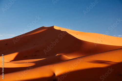 Sand dunes in the Sahara Desert  Merzouga  Morocco