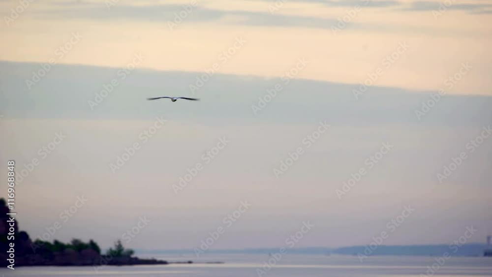 Seagull fly on the pier. Sunrise scene with beautiful yellow-orange sky
