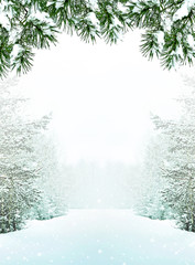 Tableau sur plexiglas Hiver Forêt givrée et arbres enneigés  © alenalihacheva