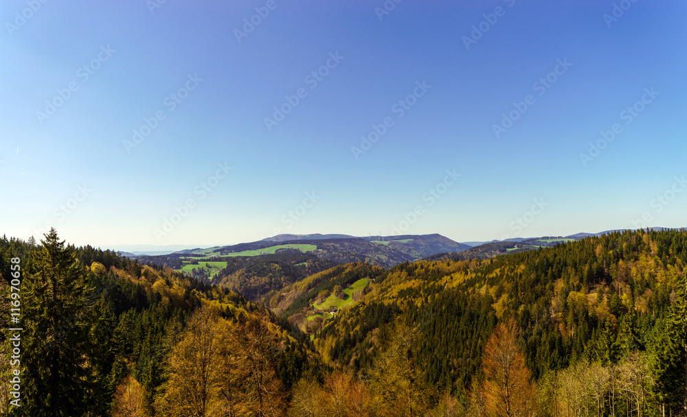 Schwarzwald mountains spring view, sunny day