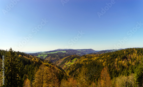 Schwarzwald mountains spring view  sunny day